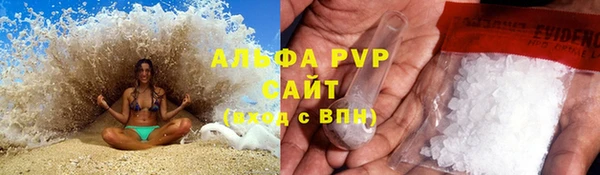 spice Алзамай