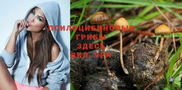 ГАЛЛЮЦИНОГЕННЫЕ ГРИБЫ Алексеевка