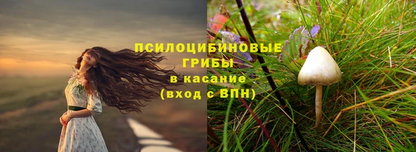 spice Алзамай