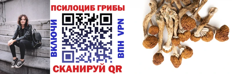 Галлюциногенные грибы ЛСД сколько стоит Осинники